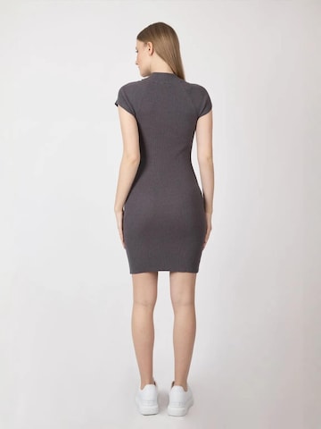 Hiccup Gebreide jurk in Grijs