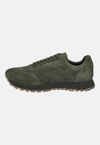 JOSEF SEIBEL Sneaker 'ADRIAN' in Grün