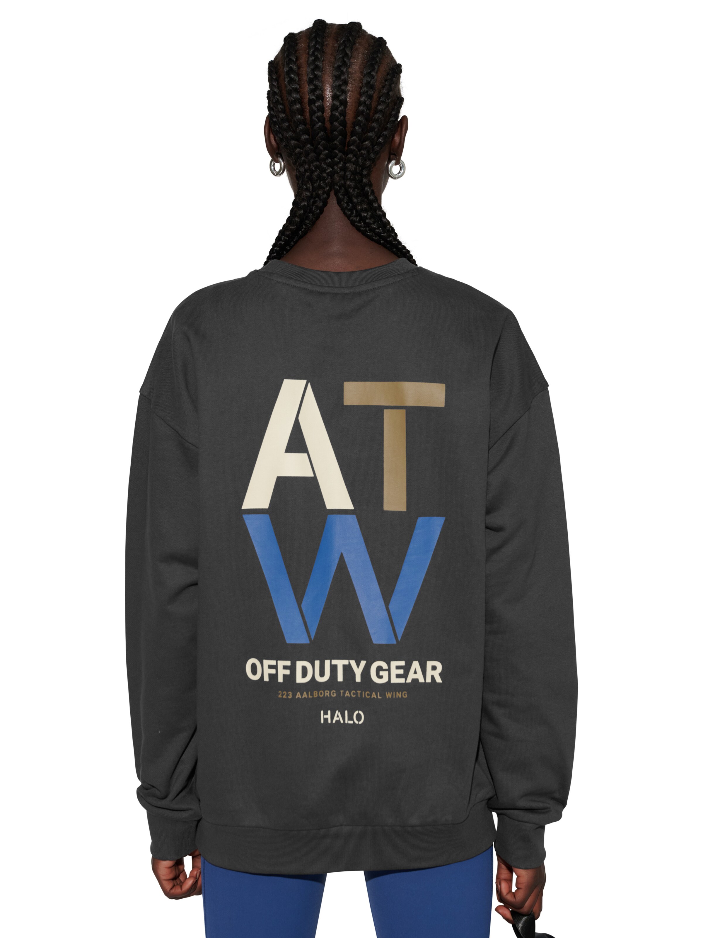 HALO Sweatshirt 'Duty' in Grey