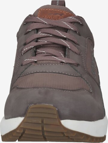 PoleCat Sneakers 'ARENA ALBERTVIL' in Brown