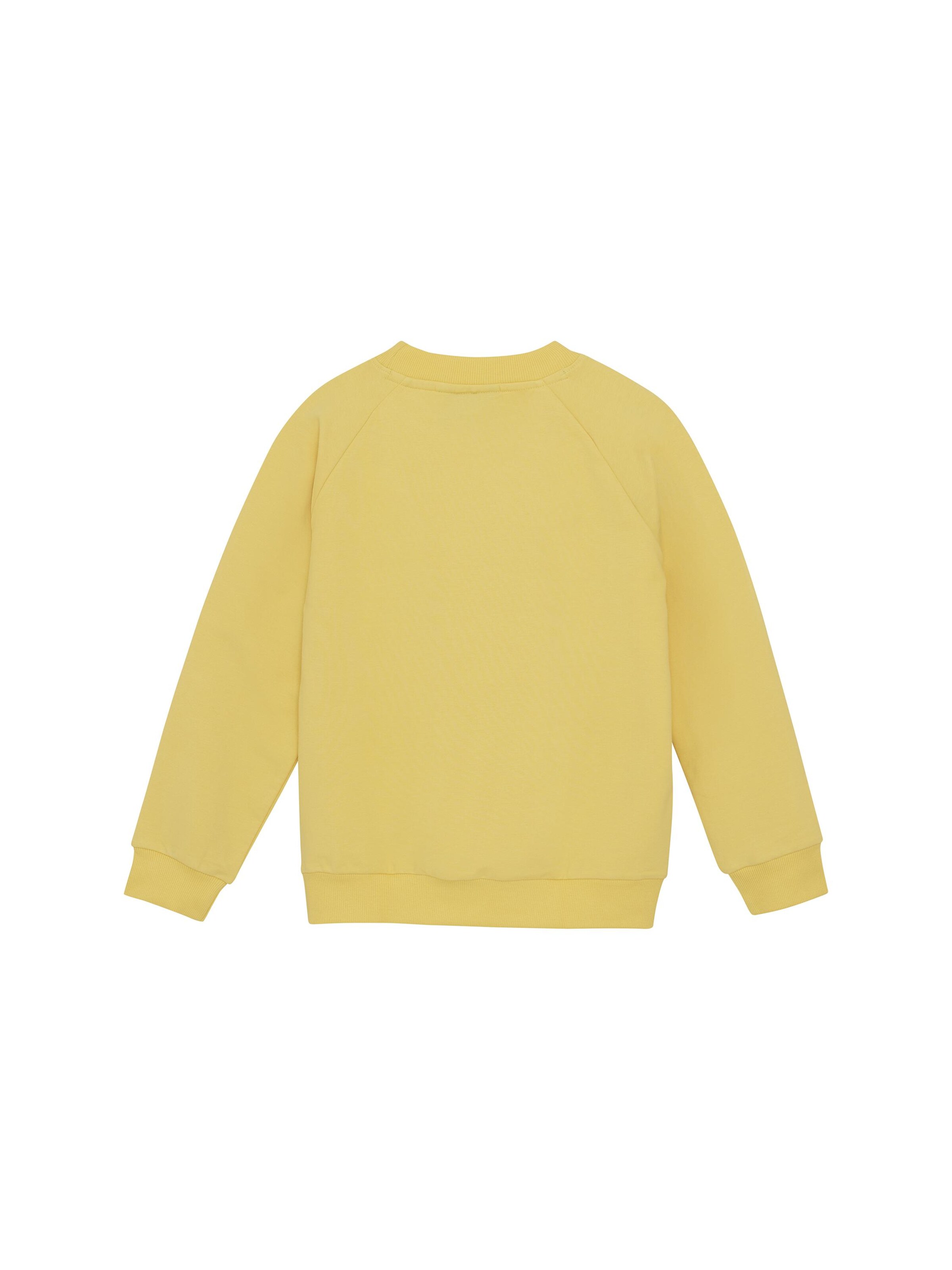 Pullover ' COSweat W. JR. Logo Print ' di COLOR KIDS in giallo