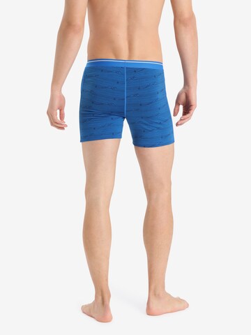 ICEBREAKER Sports underpants 'Anatomica' in Blue