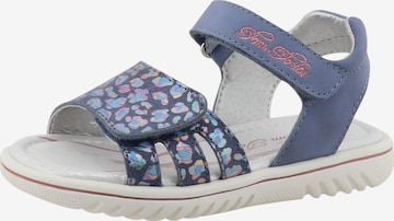 TOM TAILOR Sandal in Blue: front