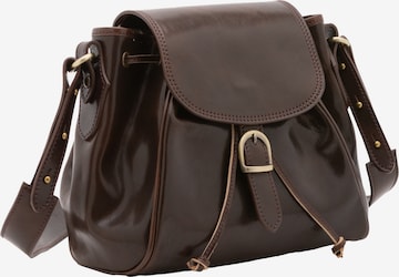 Viola Castellani Pouch in Brown: front