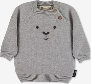 STERNTALER Sweater in Grey: front