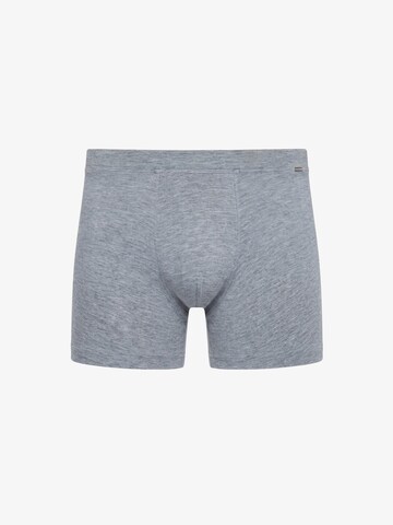 Boxers Blackspade en gris : devant