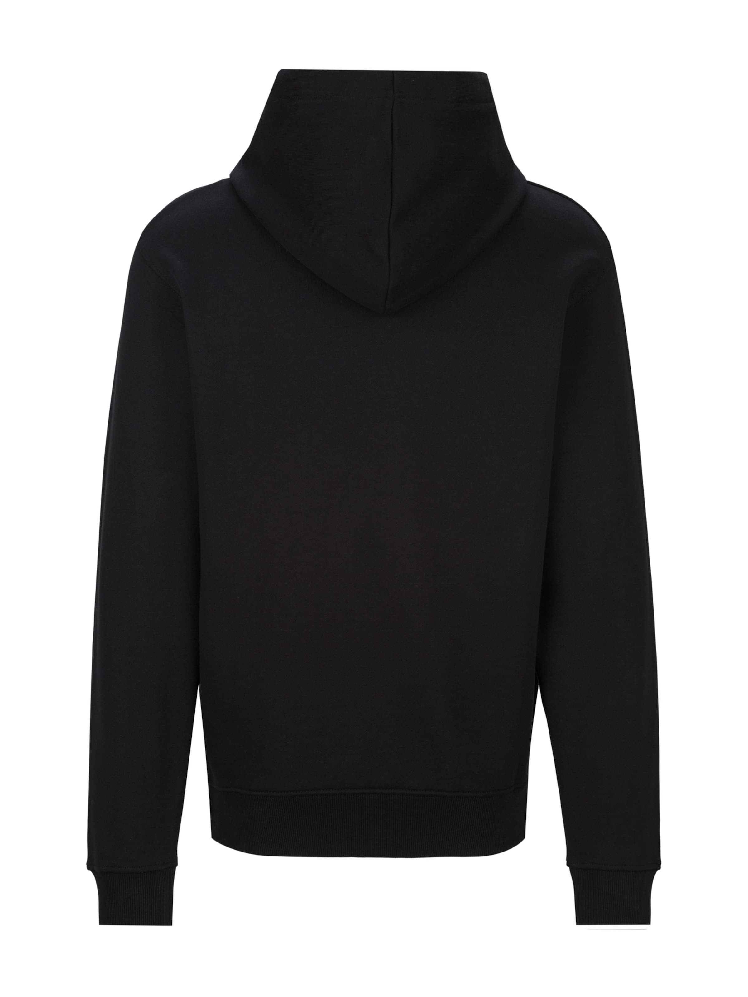 REPLAY Sweatshirt in Schwarz