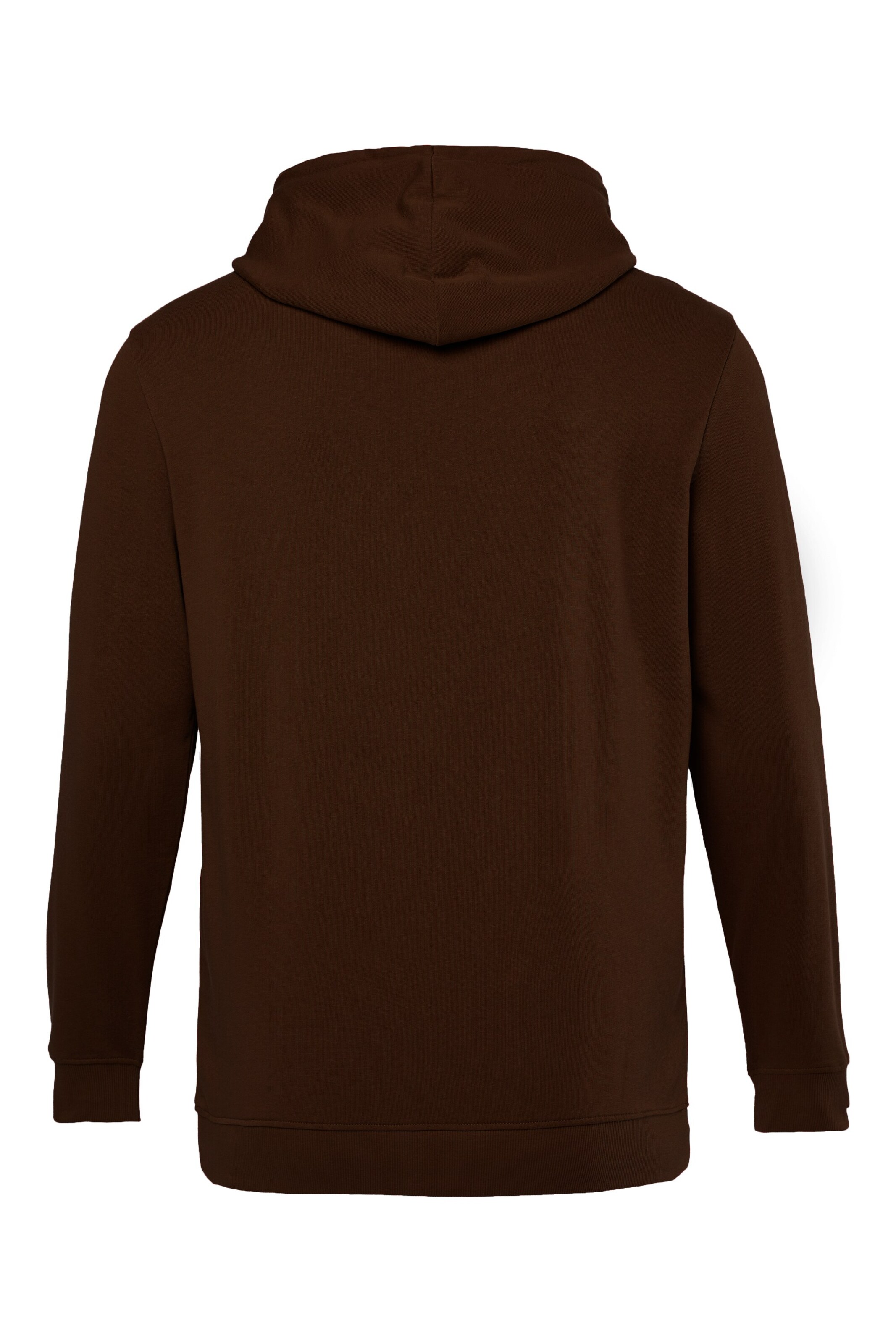 Men Plus Sweatshirt in Brown