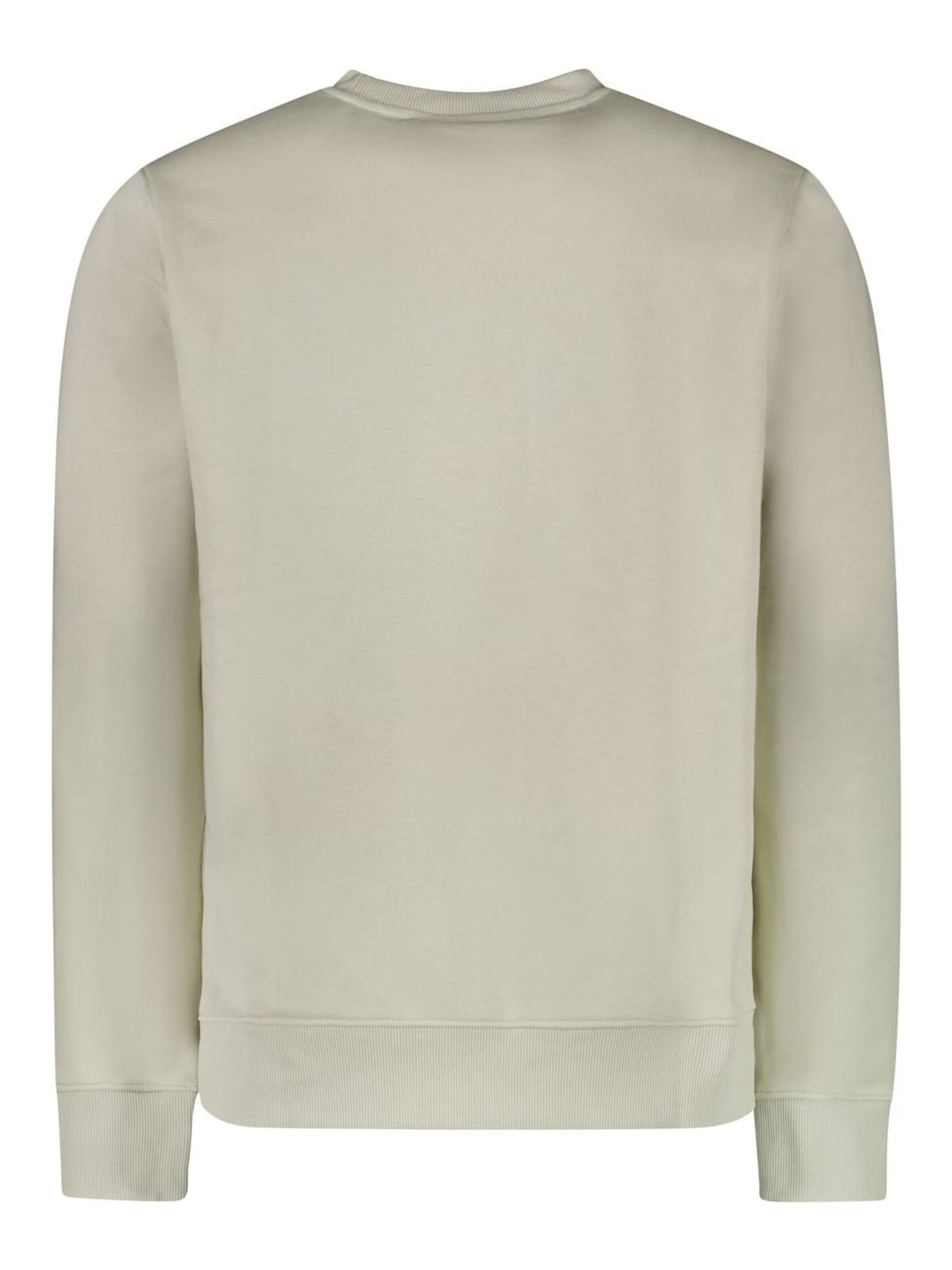 CARS Trui in Beige