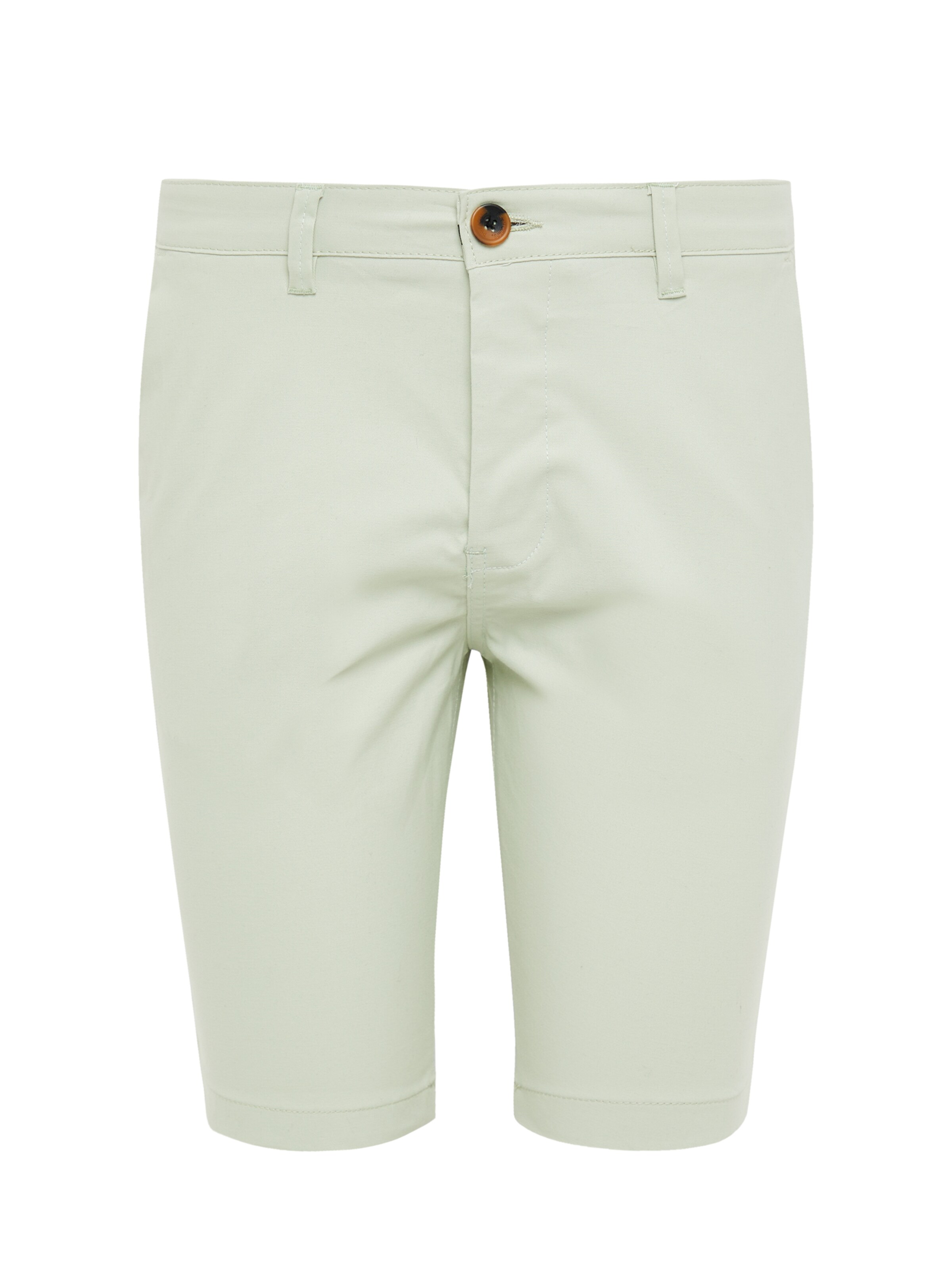 Threadbare Slimfit Shorts 'Northsea' in Grün: Vorderseite