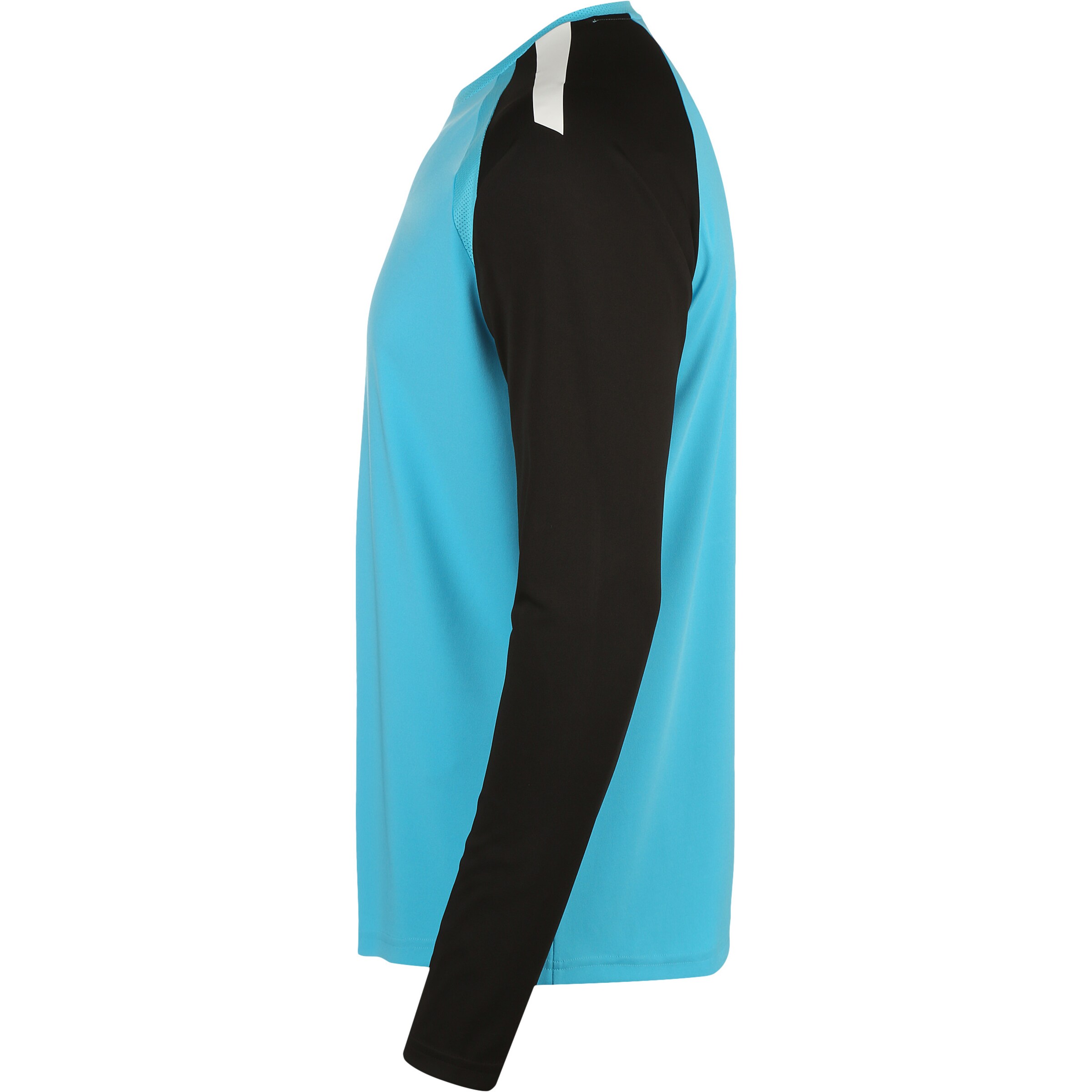 PUMA Jersey 'TeamPacer' in Blue