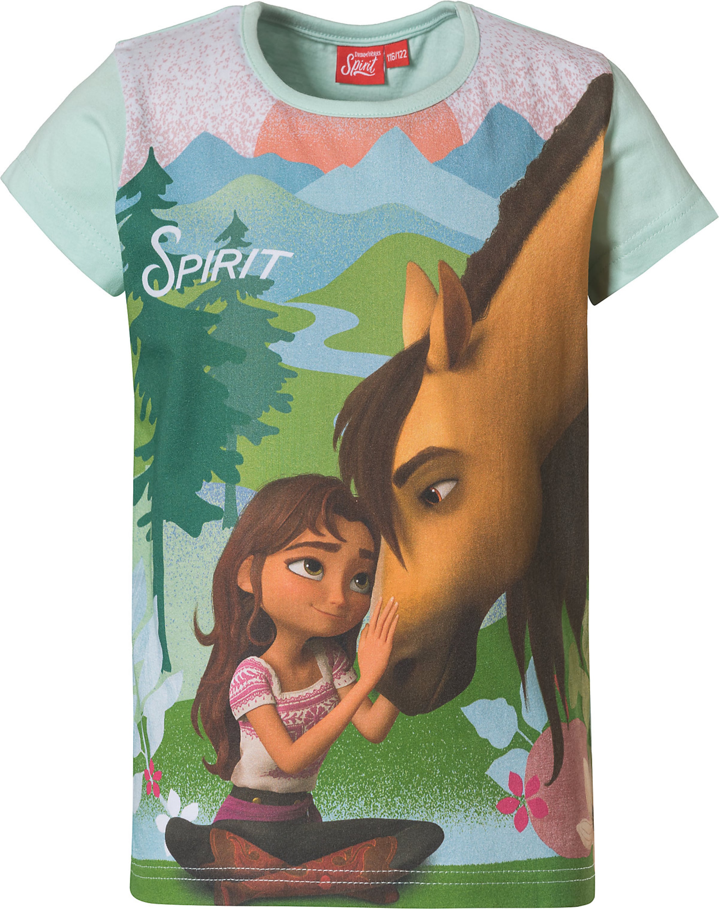 Kinder Teens (Gr. 140-176) Spirit Shirt 'Spirit' in Mischfarben - MS37730