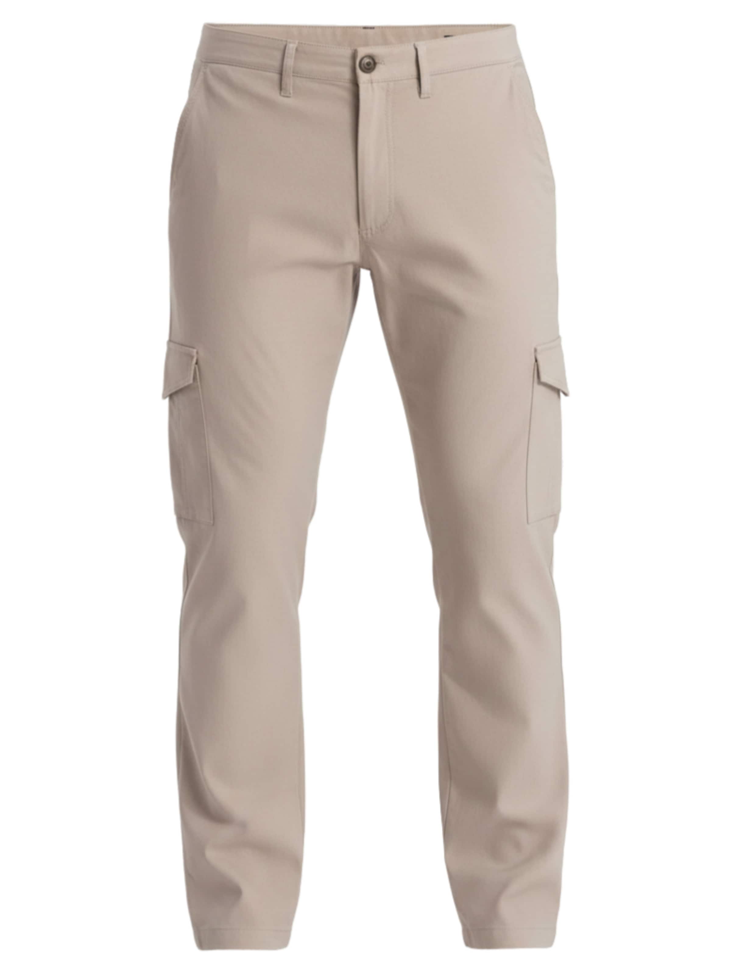 Regular Pantalon Ombre en beige : devant