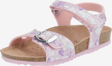 GEOX Sandalen in Roze: voorkant