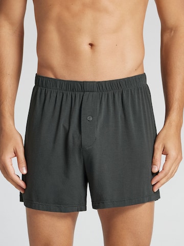 IUMAN Intimissimi Boxer shorts in Grey: front