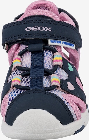 GEOX Baby Sandalen in Blau