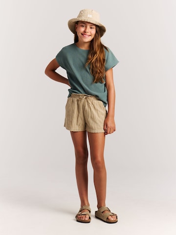 PROTEST Regular Pants 'PRTThinka JR' in Brown: front