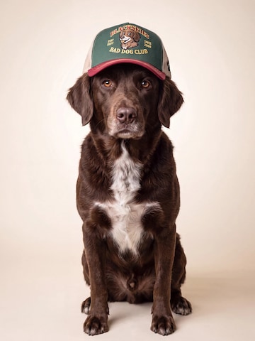 Blackskies Cap 'Trucker Cap'‌‌‌‌‌‌‌ in Grün