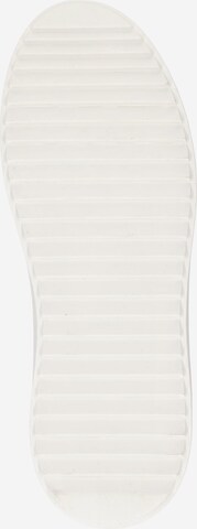 STEVE MADDEN - Sapatilhas baixas 'CATCHER' em branco