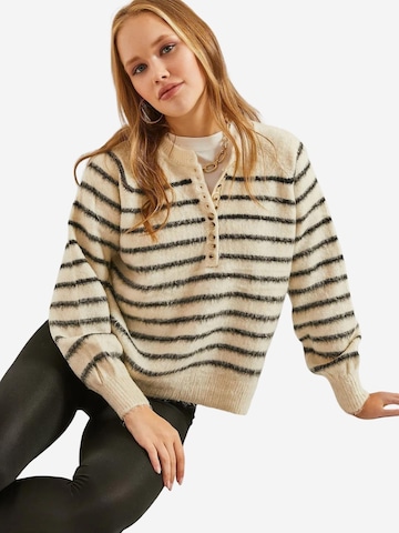 Bianco Lucci Sweater in Mixed colours