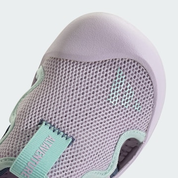 ADIDAS SPORTSWEAR - Zapatos abiertos 'Altaventure 3' en lila
