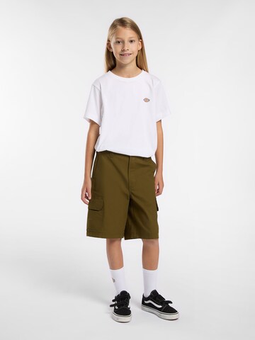 regular Pantaloni di DICKIES in verde
