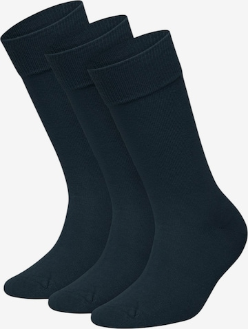 DillySocks Socks in Blue: front