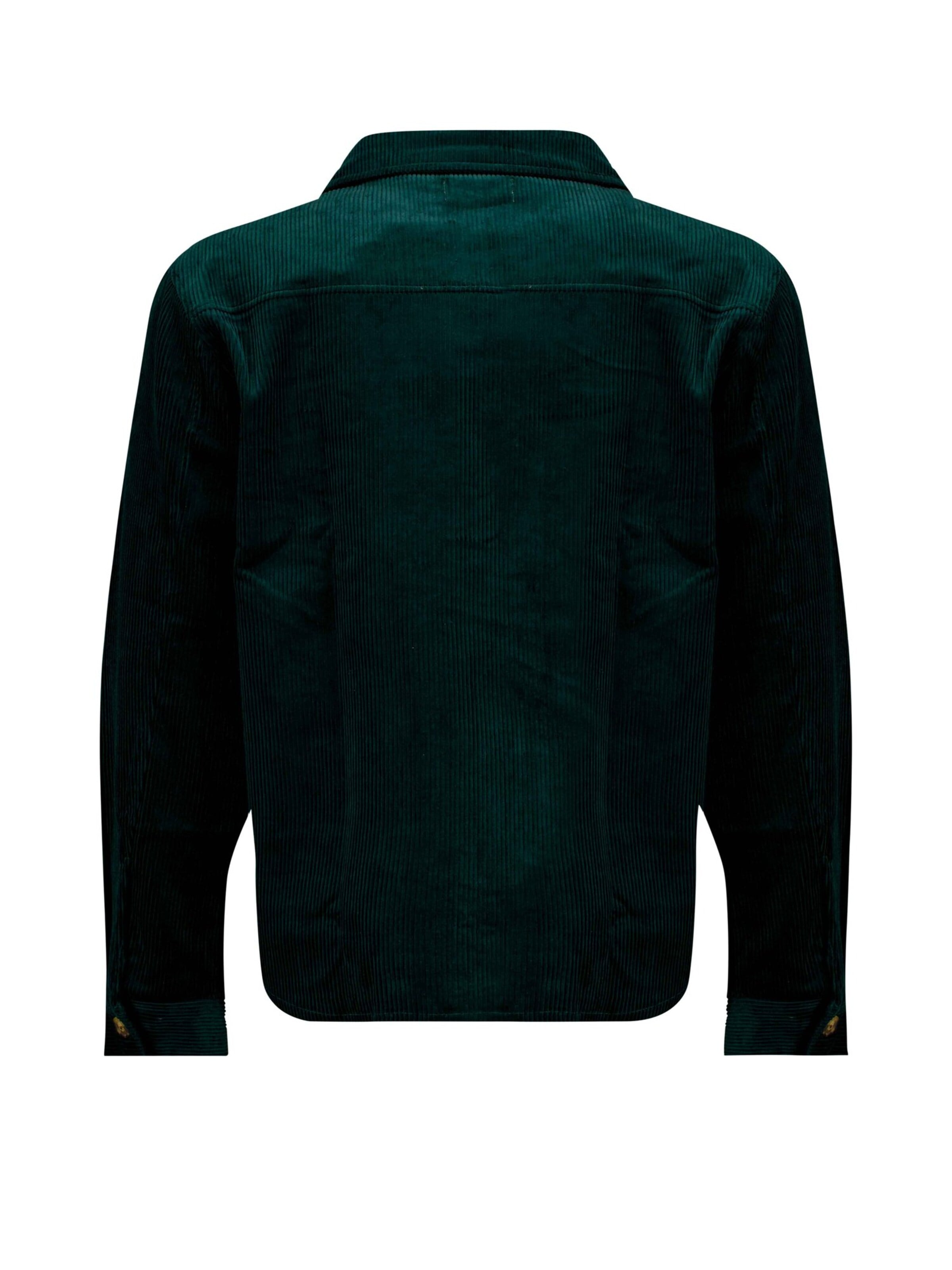 Deeluxe Regular fit Shirt ' ALINO ' in Groen