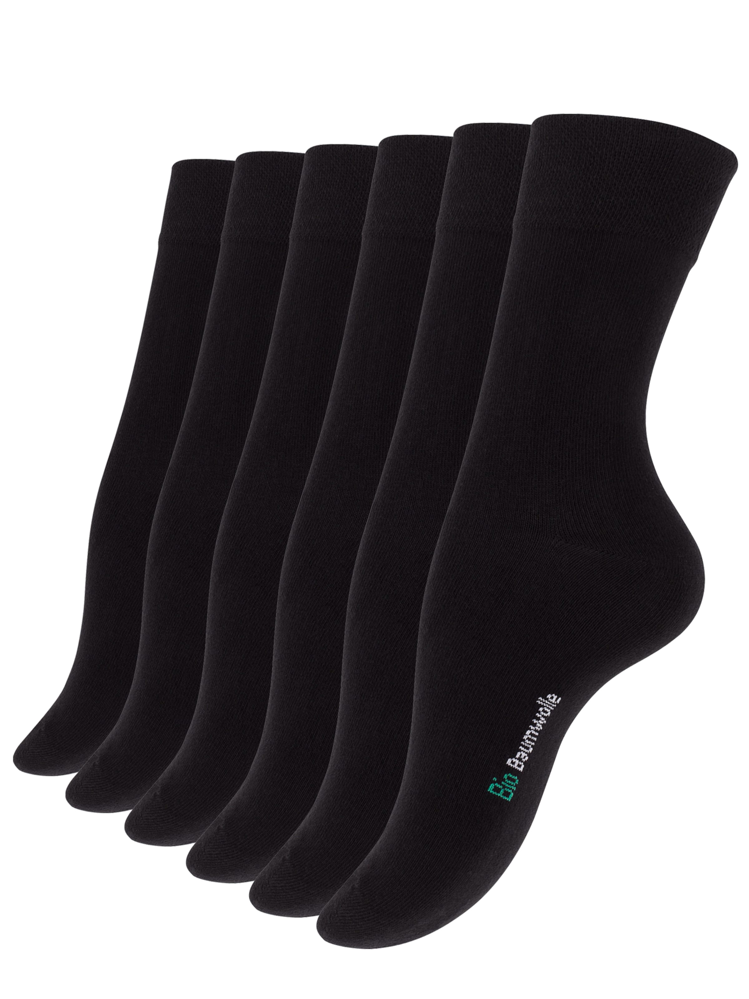 Vincent Creation - Meias em preto: frente