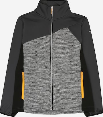ICEPEAK Sports sweat jacket 'KRUMBACH' in Grey: front