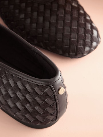 Ballerina di B by Ted Baker in marrone