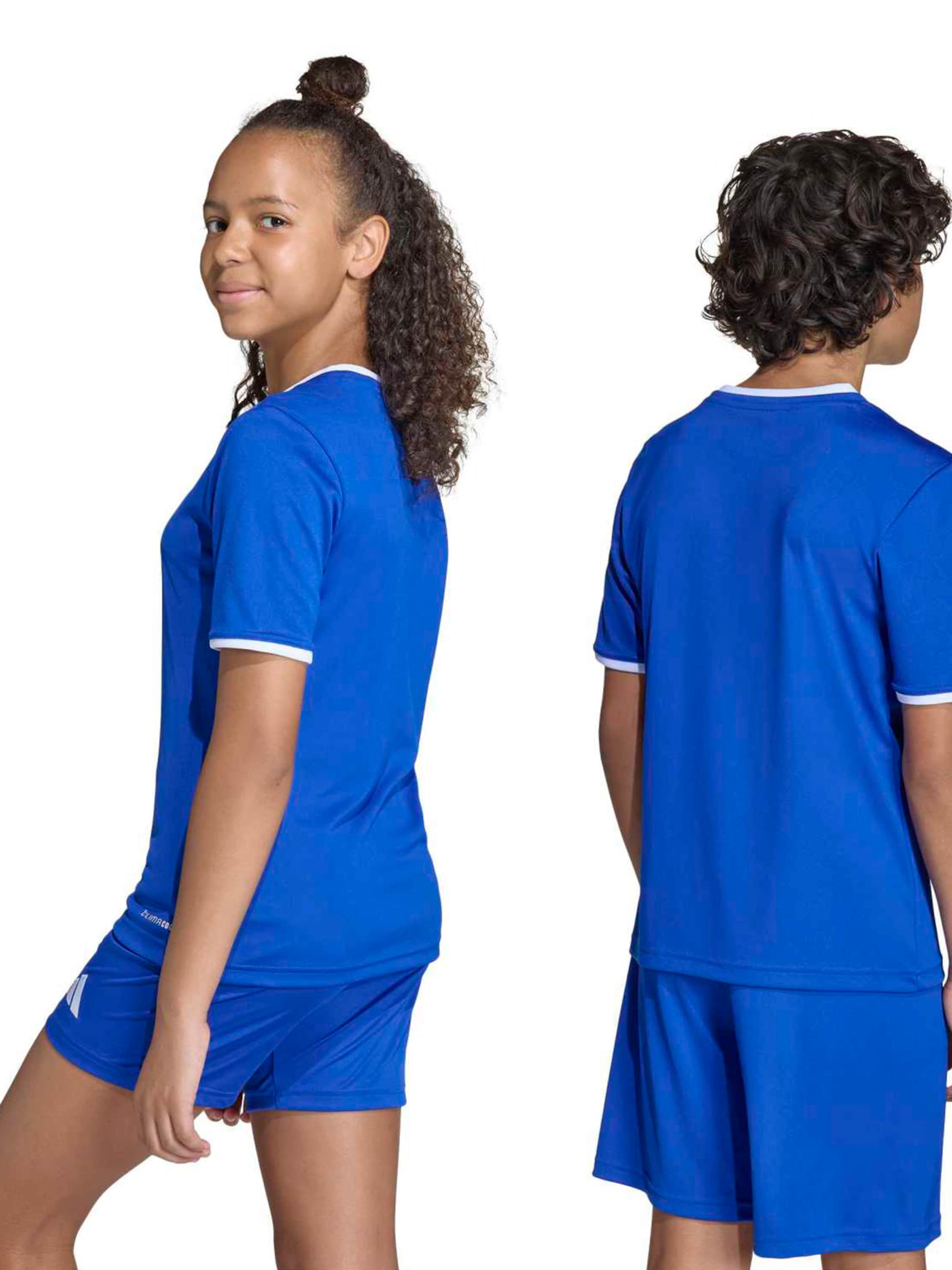 ADIDAS PERFORMANCE Performance Shirt 'ENT26' in Blue