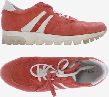 TAMARIS Sneaker 41 in Rot: predná strana