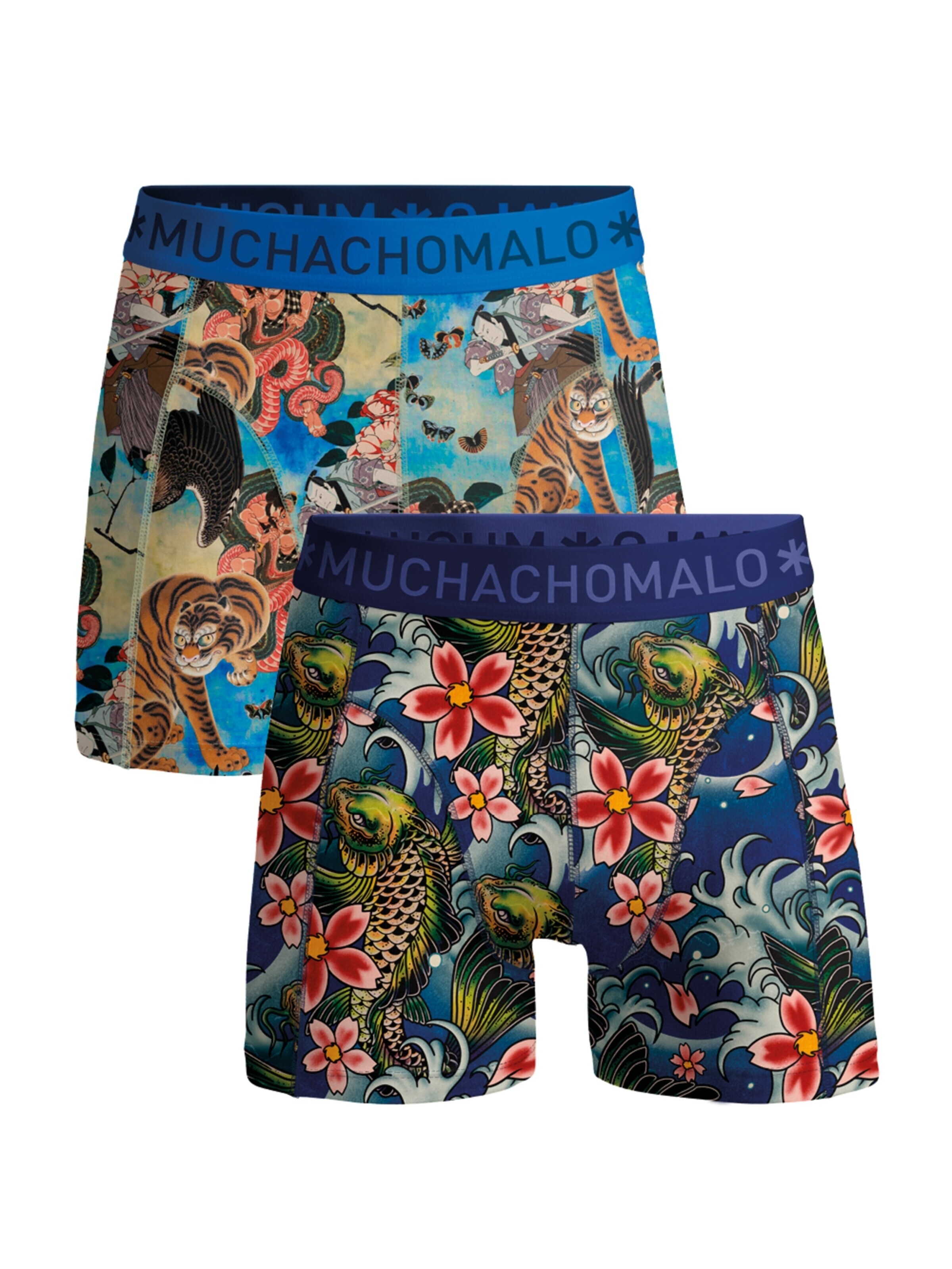 MUCHACHOMALO Boxer shorts 'Muchachomalo Cotton Boxershorts' in Blue: front