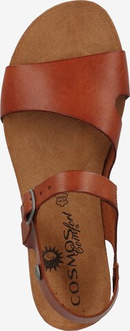 COSMOS COMFORT Sandals in Brown