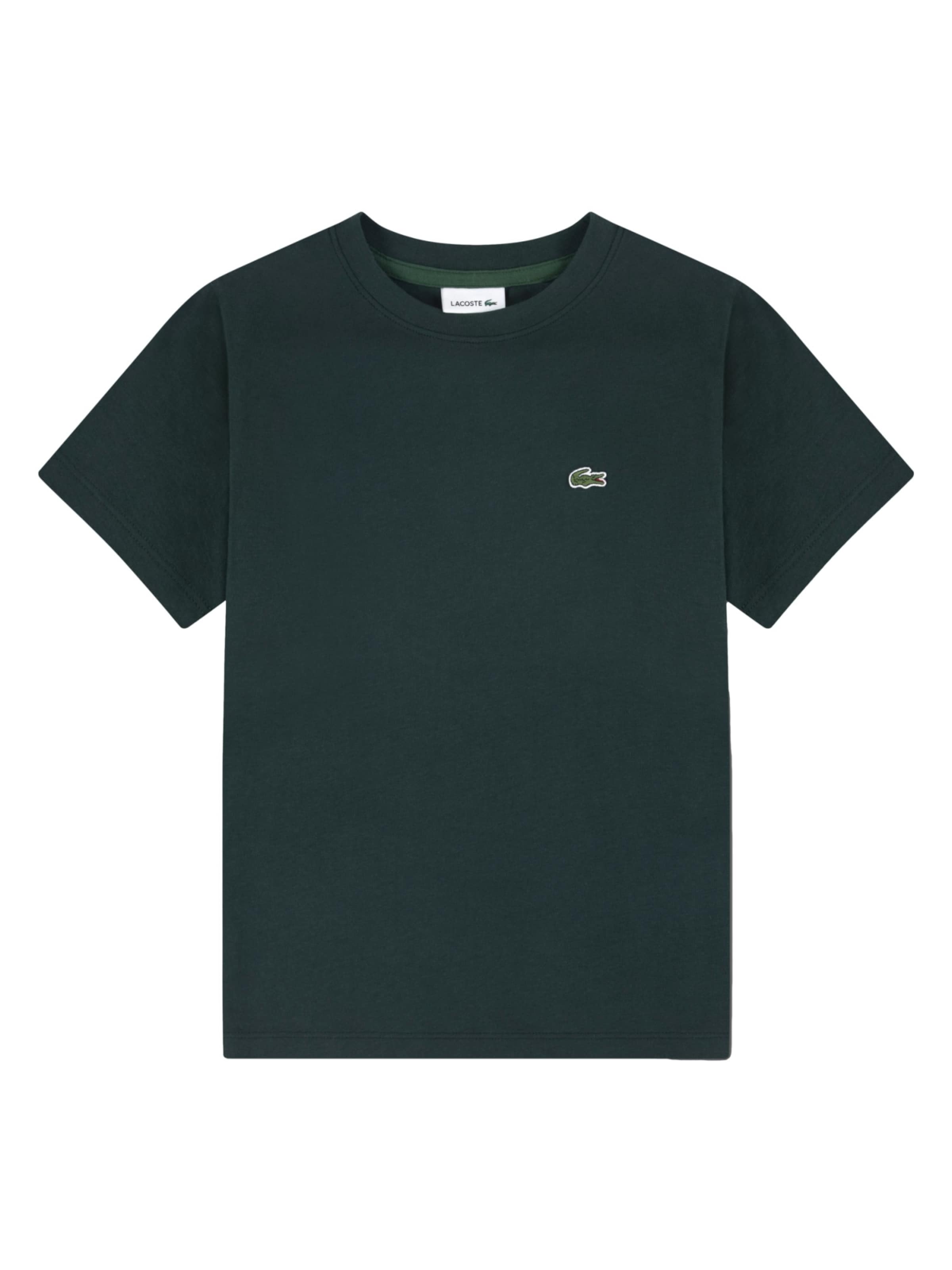 LACOSTE Shirts i grøn: forside