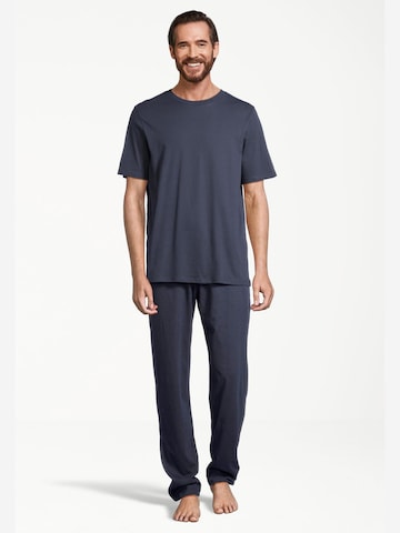 SCHIESSER Short Pajamas 'Night & Home' in Blue