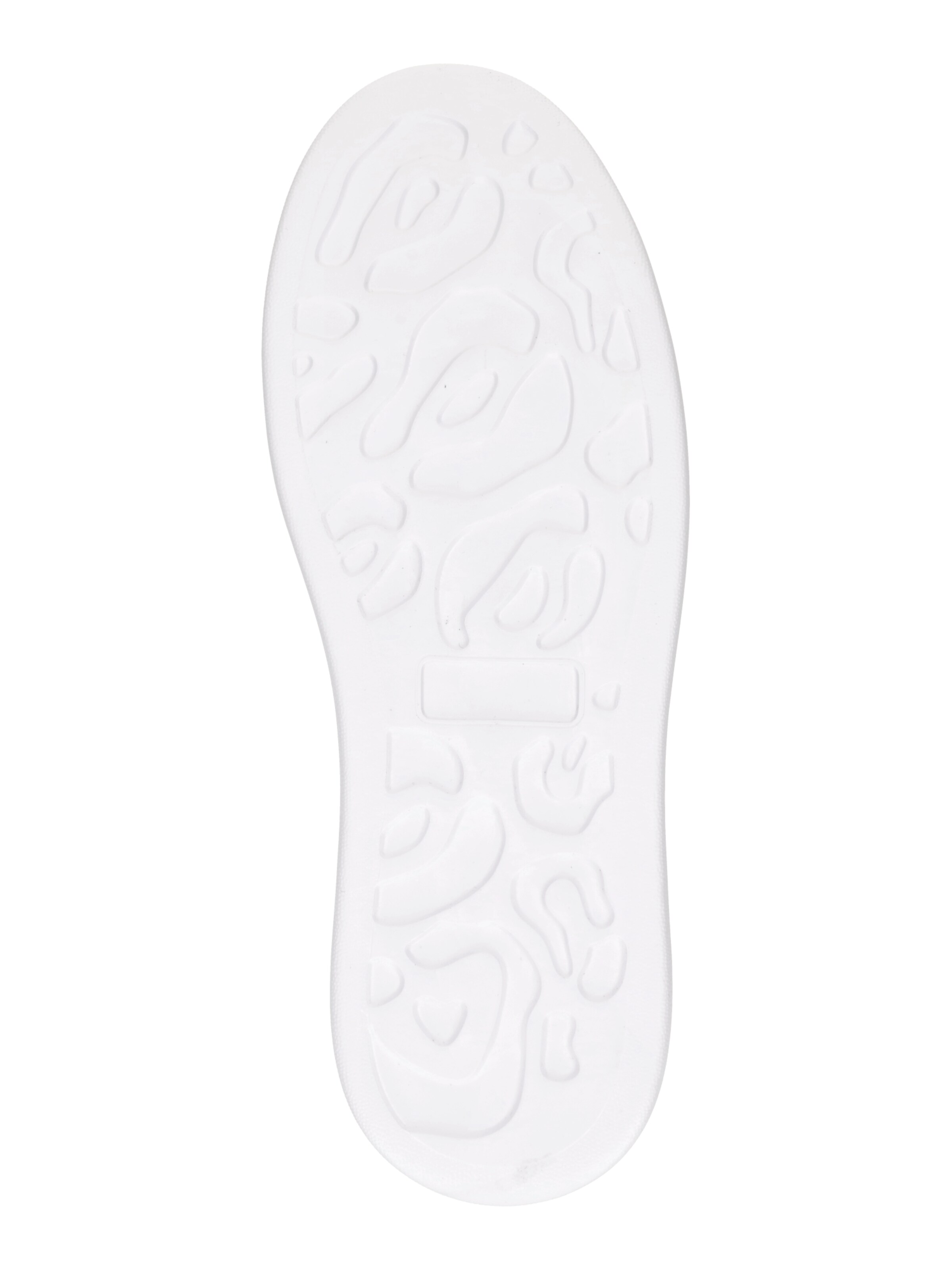 Just Cavalli Низкие кроссовки 'FONDO URSA DIS. 4' в Черный