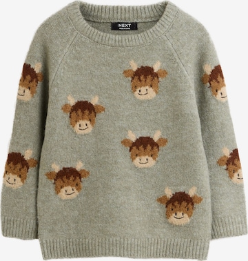 žalia Next Megztinis: priekis