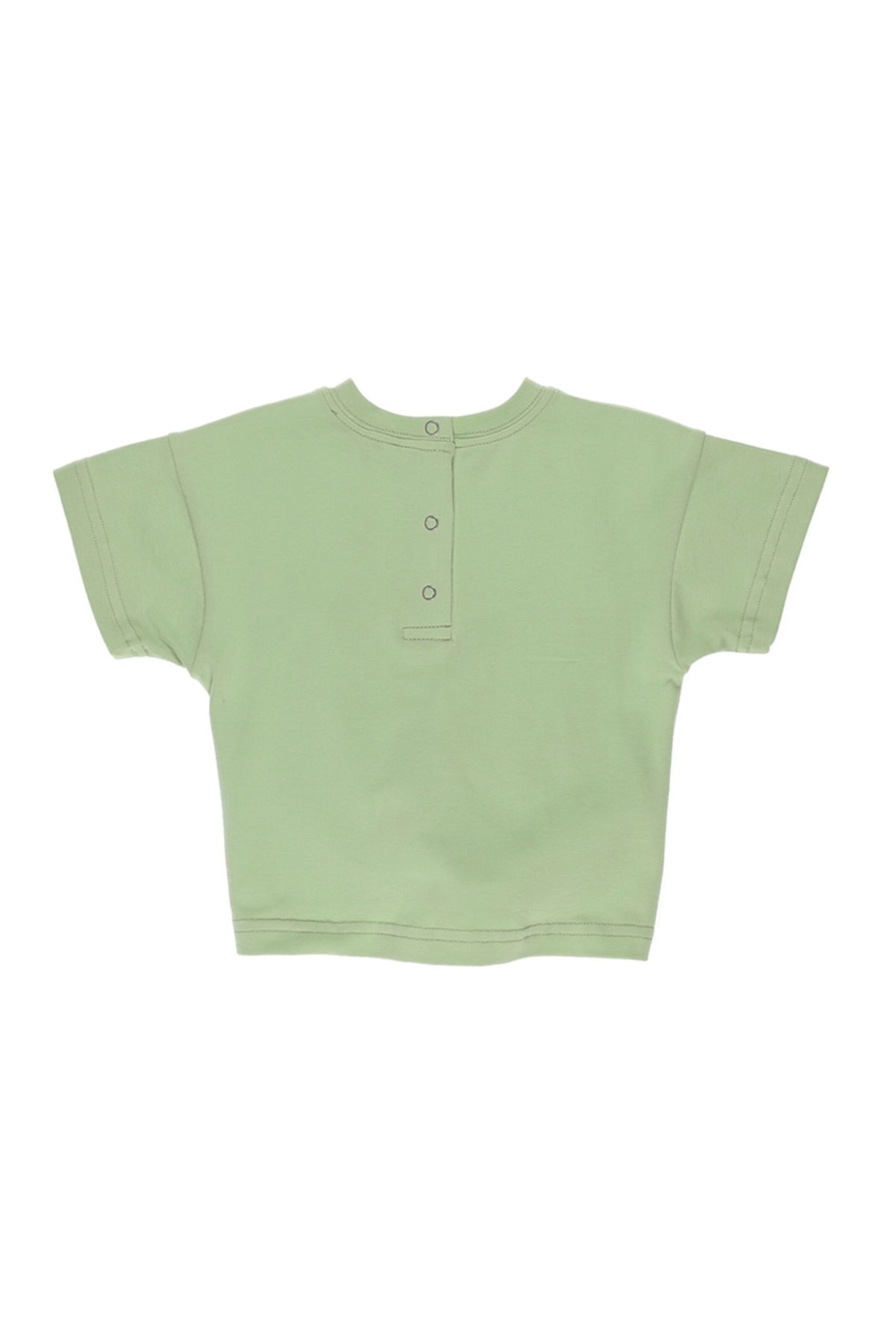 Panço Shirt in Groen