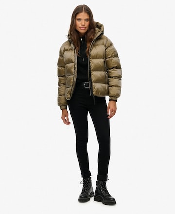 Superdry Tussenjas in Groen