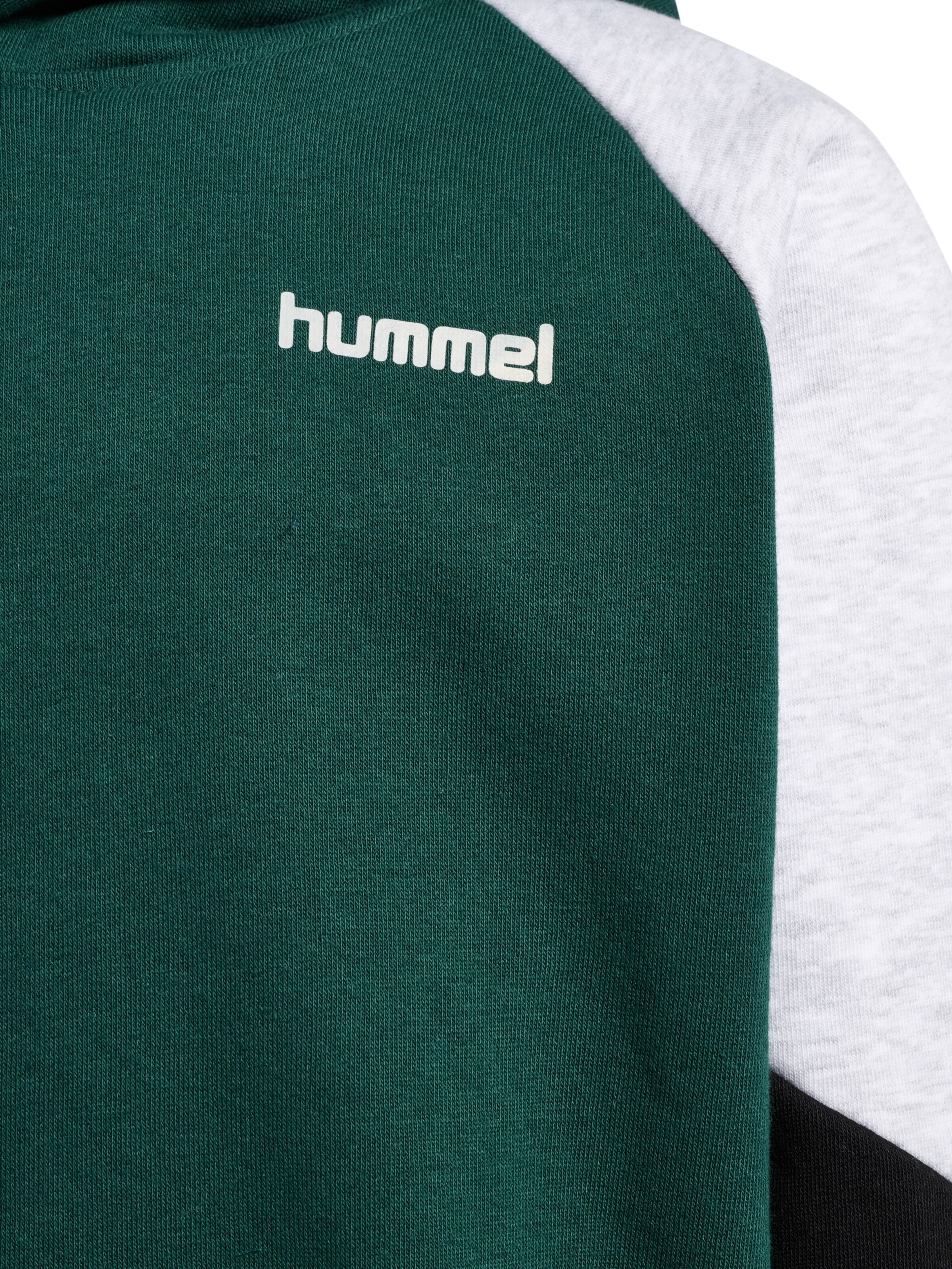Hummel Sweatshirt in Groen