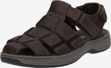 CLARKS Hiking Sandals in Brown: front