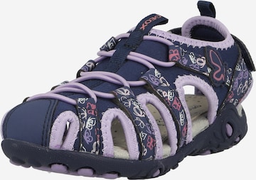 GEOX Sandals & Slippers 'WHINBERRY' in Blue: front