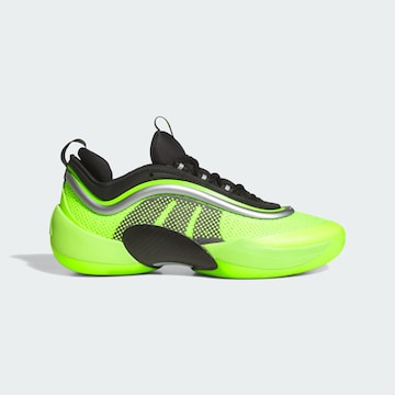 ADIDAS PERFORMANCE Sports shoe 'D.O.N. Issue 6' in Green