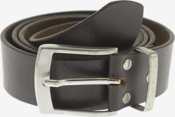 TOM TAILOR Belt & Suspenders in One size in Brown: front