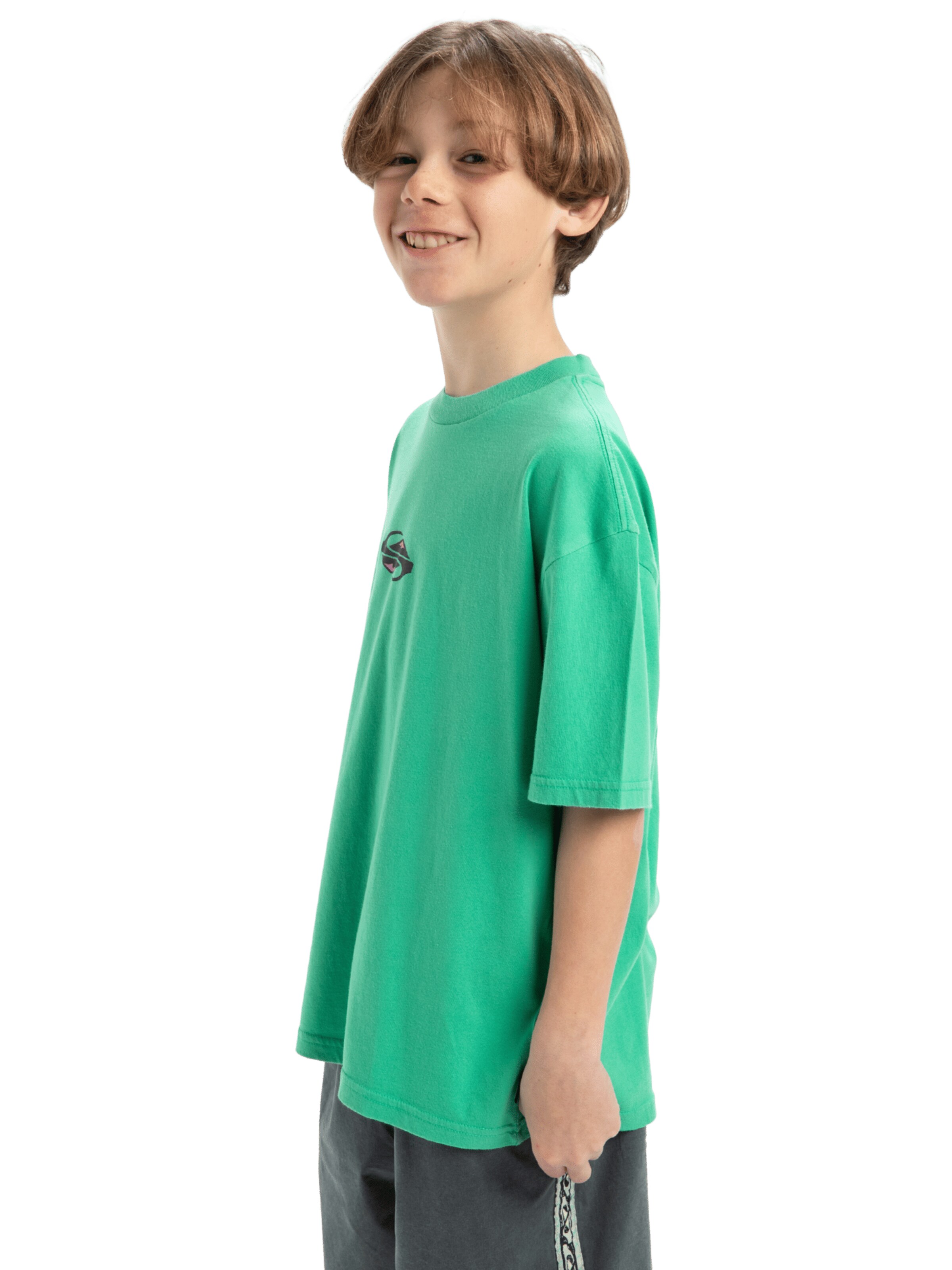 T-Shirt 'Global Heat' QUIKSILVER en vert