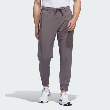 ADIDAS PERFORMANCE Tapered Sporthose 'Ultimate365' in Grau: predná strana