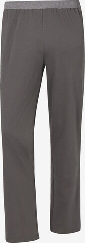 Jan Vanderstorm Regular Pants ' Rafe ' in Mixed colors