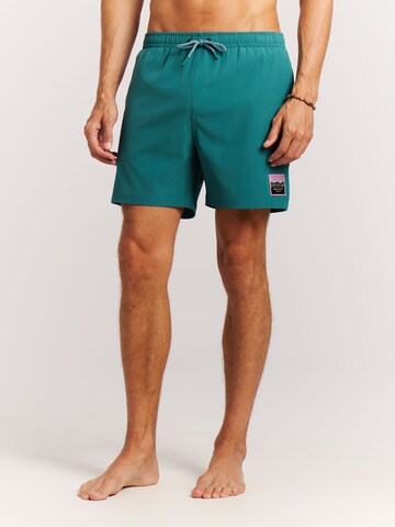 PROTEST Swimming shorts 'PRTJayden' in Green